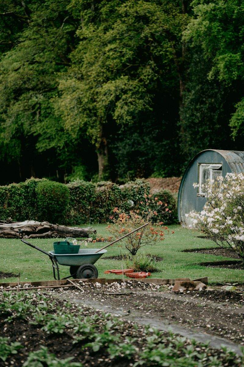 Maple Leaf Garden & Landscape Co. 1