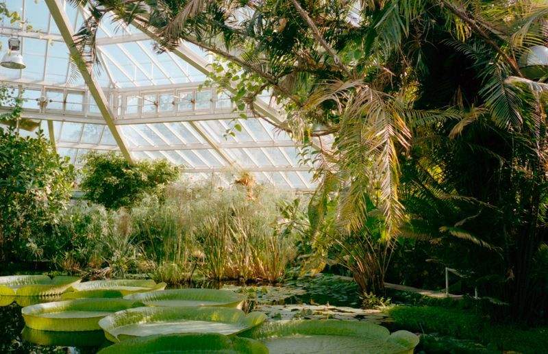 Maple Leaf Garden & Landscape Co. 10