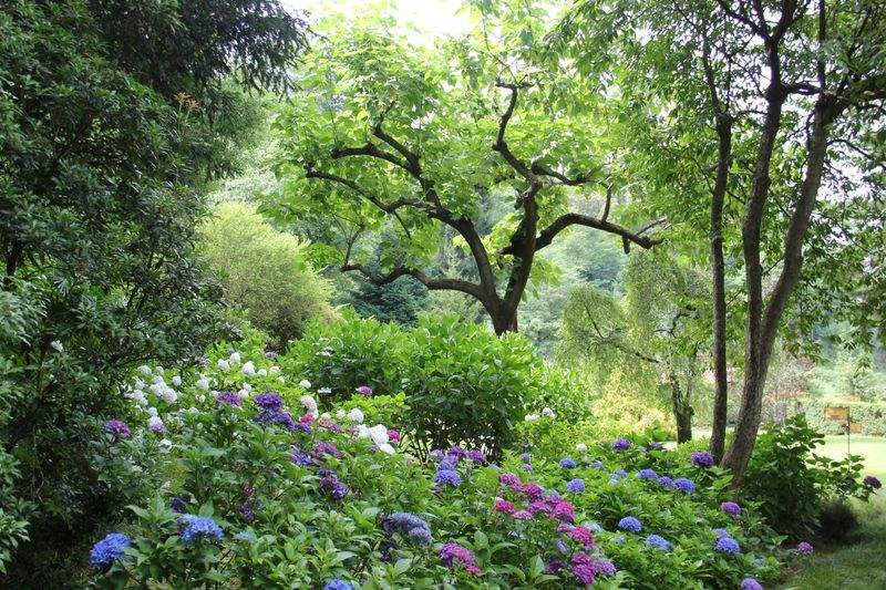 Maple Leaf Garden & Landscape Co. 13