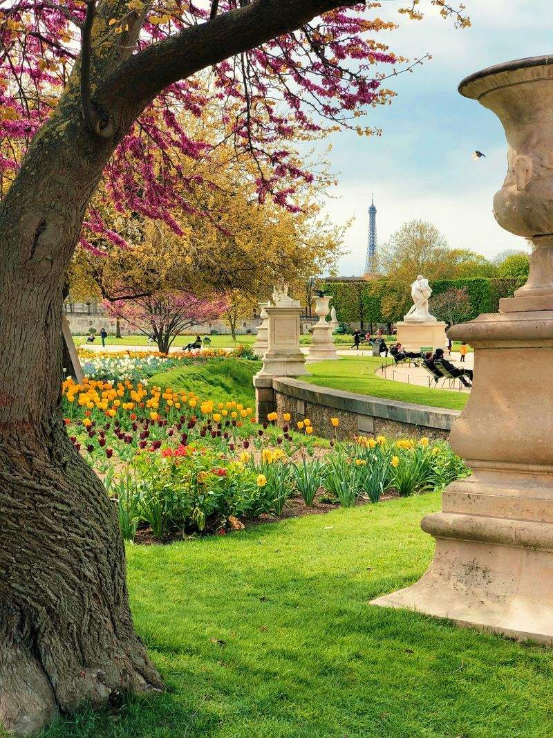 Maple Leaf Garden & Landscape Co. 4