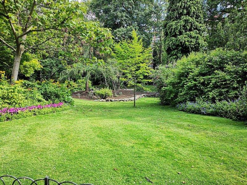 Maple Leaf Garden & Landscape Co. 6