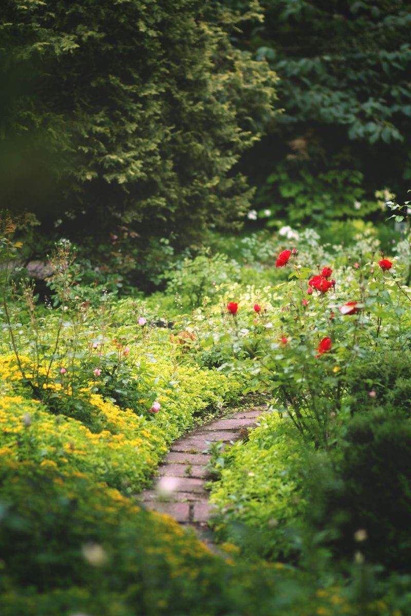Maple Leaf Garden & Landscape Co. 8