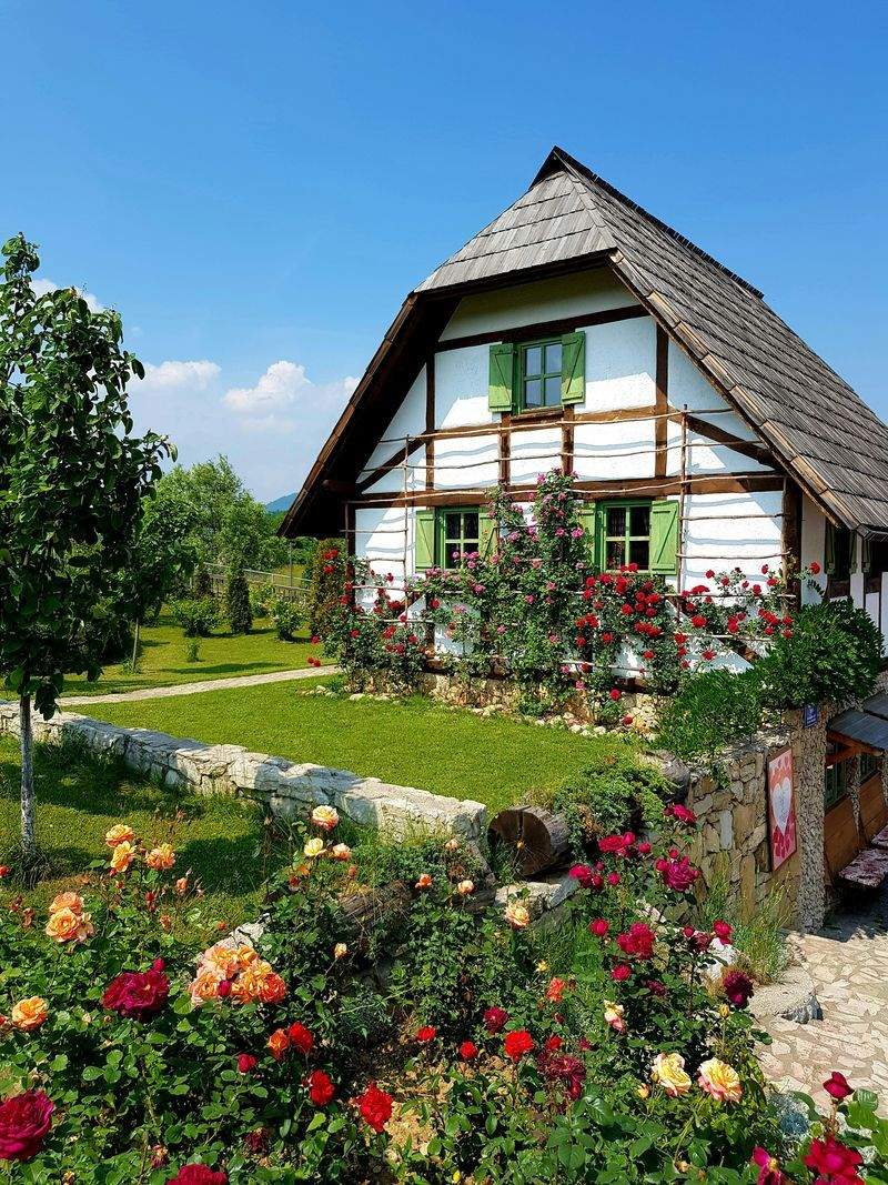 Maple Leaf Garden & Landscape Co.