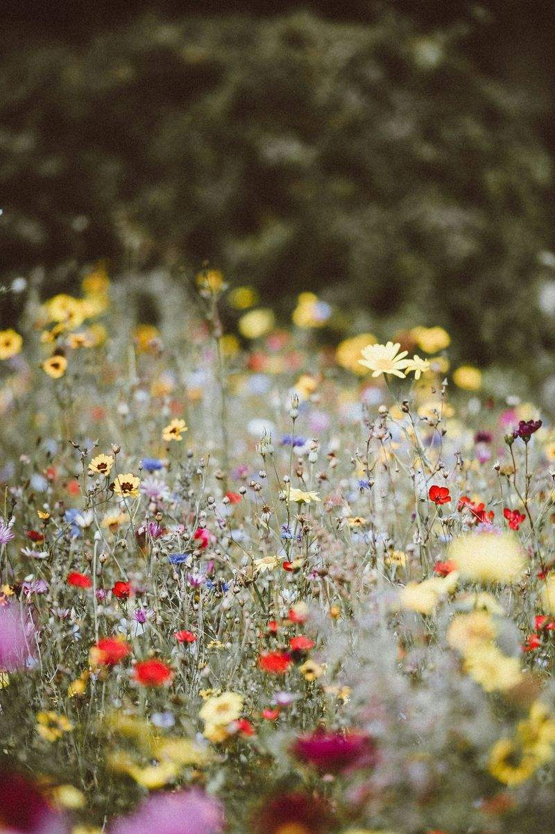 Seasonal planting and flower bed installation